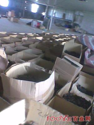 惠州專業二手設備回收 高價收購，信譽保障